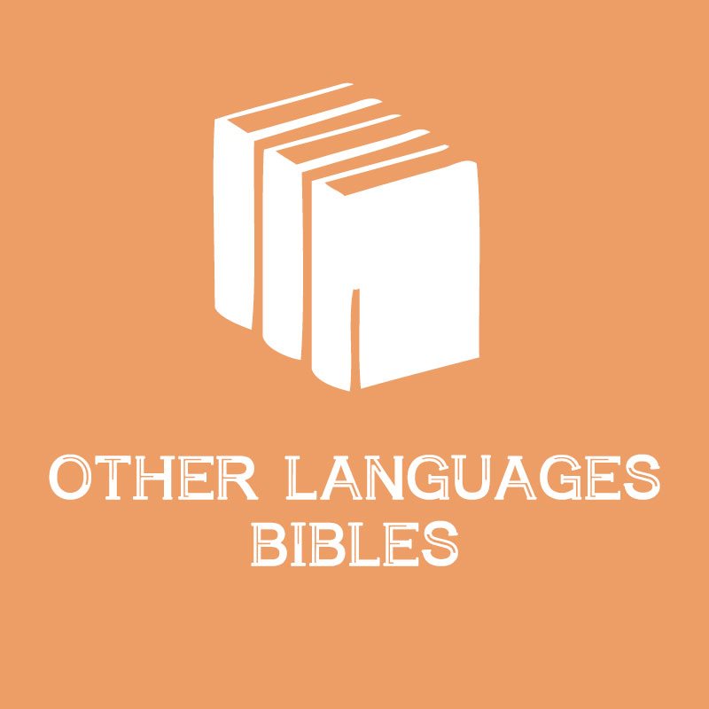 BIBLES IN OTHER LANGUAGES