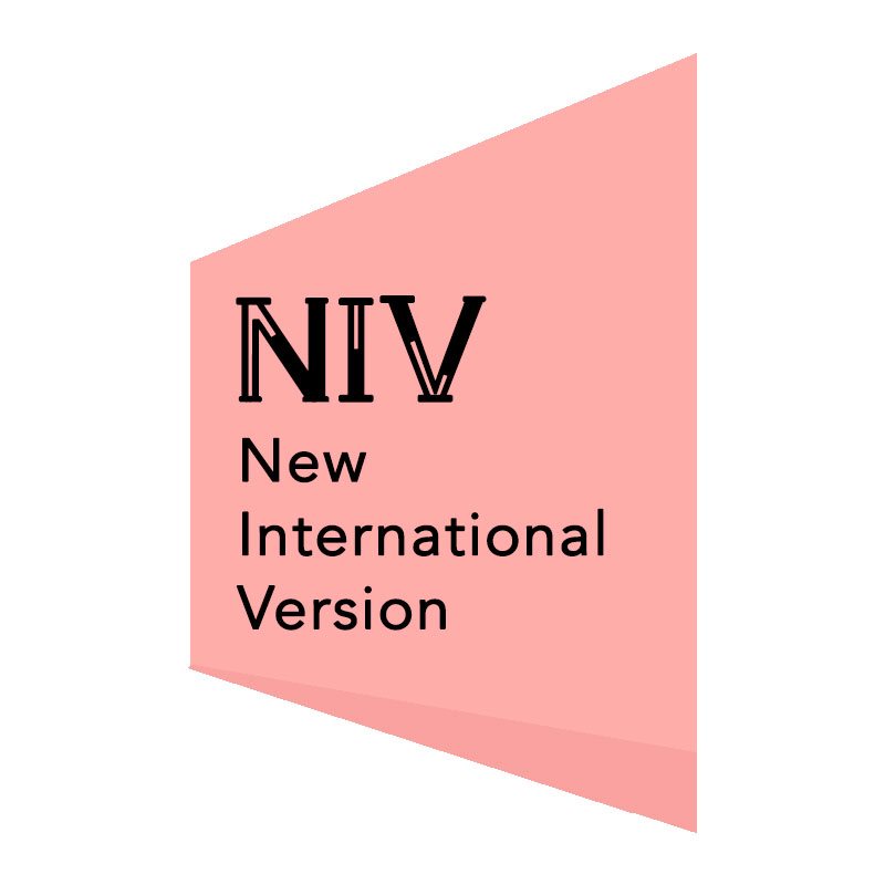 NEW INTERNATIONAL VERSION (NIV)