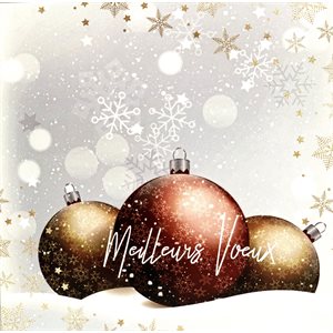 'Carte de Noël en Français - Meilleurs Vœux (Nombres 6:24-26)