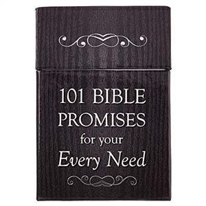 101 Bible Promises for Your Every Need, A Box of Blessings