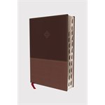 Amplified Study Bible, Large Print, Imitation Leather, Brown