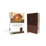 Amplified Study Bible, Large Print, Imitation Leather, Brown