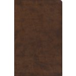ESV Premium Gift Bible (TruTone, Brown) Imitation Leather
