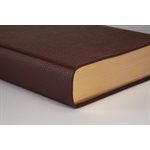 NLT Giant-Print Personal-Size Bible, Filament Enabled Edition--soft leather-look, rustic brown