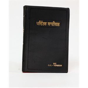 Bible in Punjabi, Vinyl Black